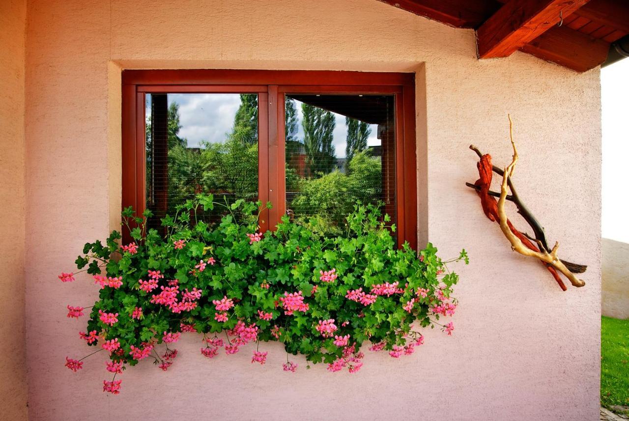 Penzion Plesnivec Poprad Exterior foto